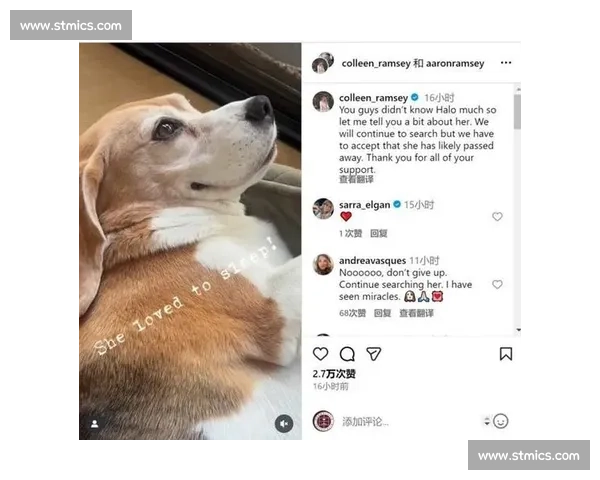 拉姆塞悬赏万美金寻犬 Halo,三周搜寻仍盼归期 拉姆塞悬赏万美金寻犬 Halo,三周搜寻仍盼归期